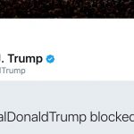 trump-blocks-twitter