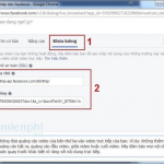 pasted image 0 (5)