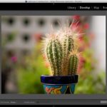 1500227186-lightroom-interface-100041654-orig-1500118746