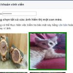 xoa-facebook-07