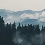 mountain-view-min