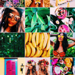 instagram-preview