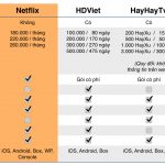 netflix-la-gi-chi-tiet-ve-netflix-tai-viet-nam-06