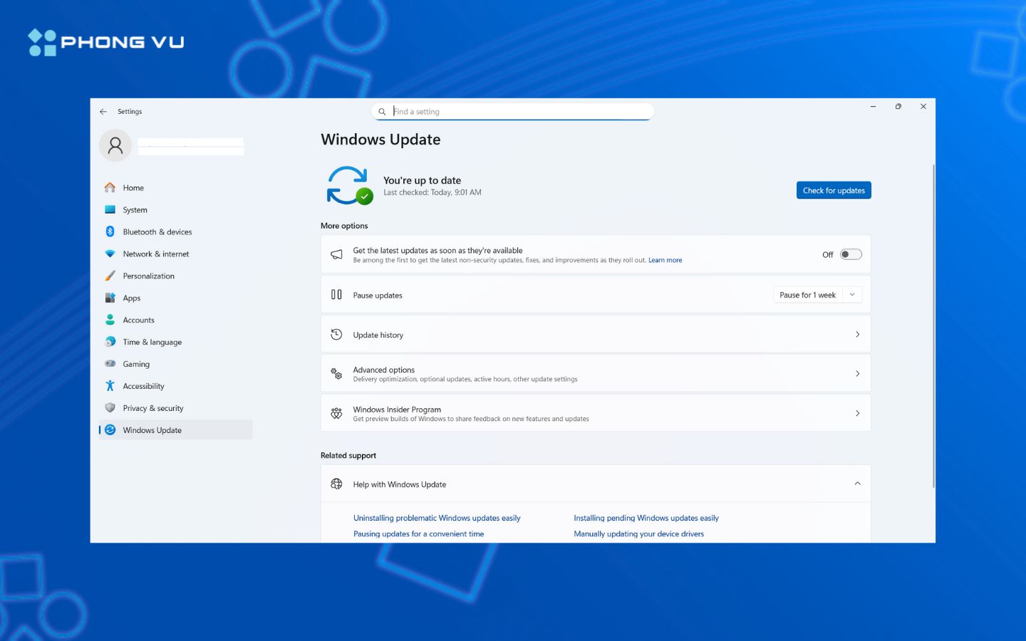 Màn hình Settings trên Windows 11, mục Windows Update