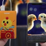 Hãng pin sạc dự phòng nào tốt nhất hiện nay_8
