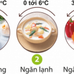 bao-quan-rau-cu-trong-tu-lanh-tuoi-lau-dung-cach1-300×161