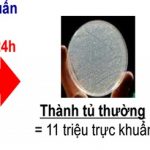 cong-nghe-khang-khuan-bang-phan-tu-bac