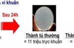 cong-nghe-khang-khuan-khu-mui-tren-tu-lanh-mitsubishi-electric5-300×97