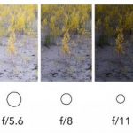 How-aperture-changes-exposure-chart-960×383-1024×357