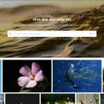 Pixabay