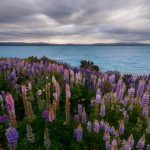 Small-aperture-landscape-960×640-1024×683-768×512