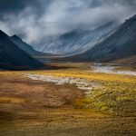 cach-de-tro-nen-sang-tao-hon-qua-viec-han-che-su-dung-gear-02