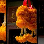 tai-sao-chup-that-nhieu-anh-la-mot-y-hay-03 (1)
