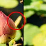 tai-sao-chup-that-nhieu-anh-la-mot-y-hay-07