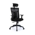 ghe-cong-thai-hoc-ergonomic-warrior-hero-series-wec502-plus-black