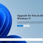 Windows-11-Upgrade.jpg