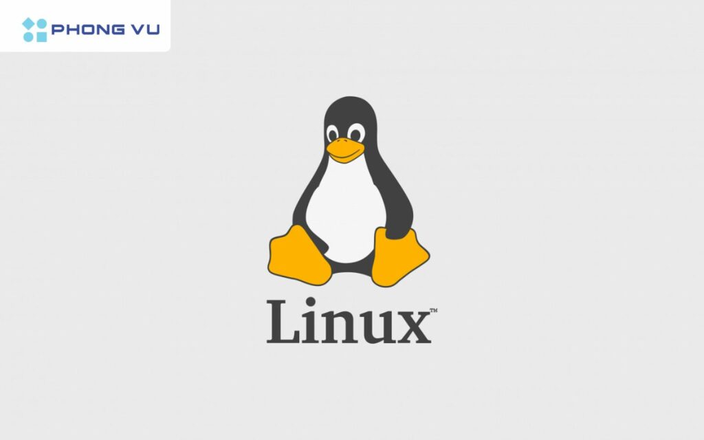 Linux ít được sử dụng hơn so với hệ điều hành khác vì nó khó sửa chữa và thay đổi.