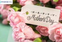 Nguồn gốc về ngày của mẹ và ý nghĩa đặc biệt về ngày này Nguồn gốc về ngày của mẹ