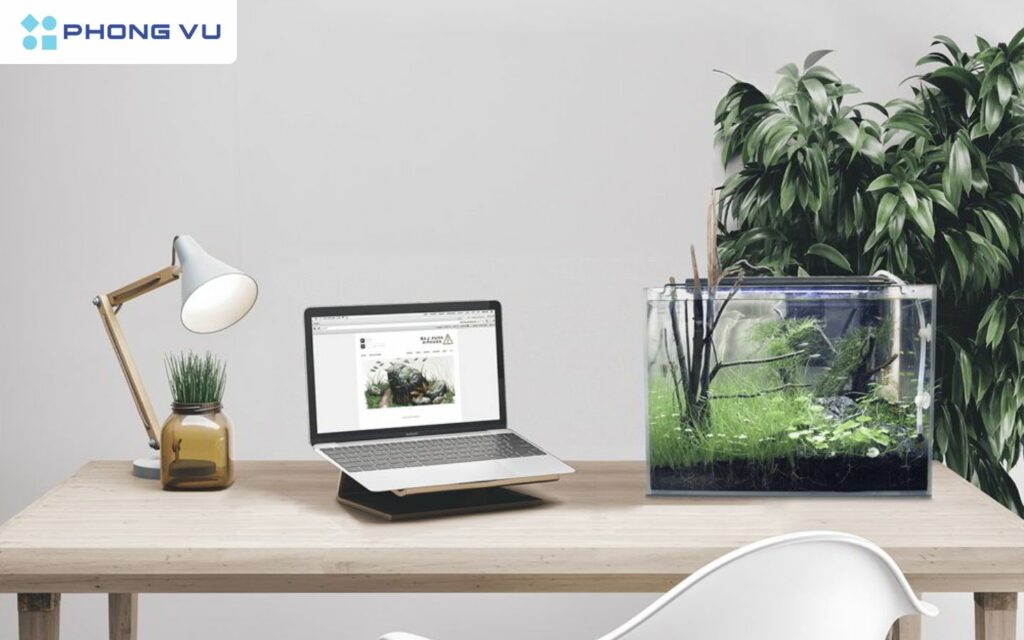 lợi ích khi setup góc làm việc