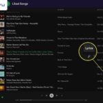 spotify-ngung-thu-phi-xem-loi-bai-hat-4