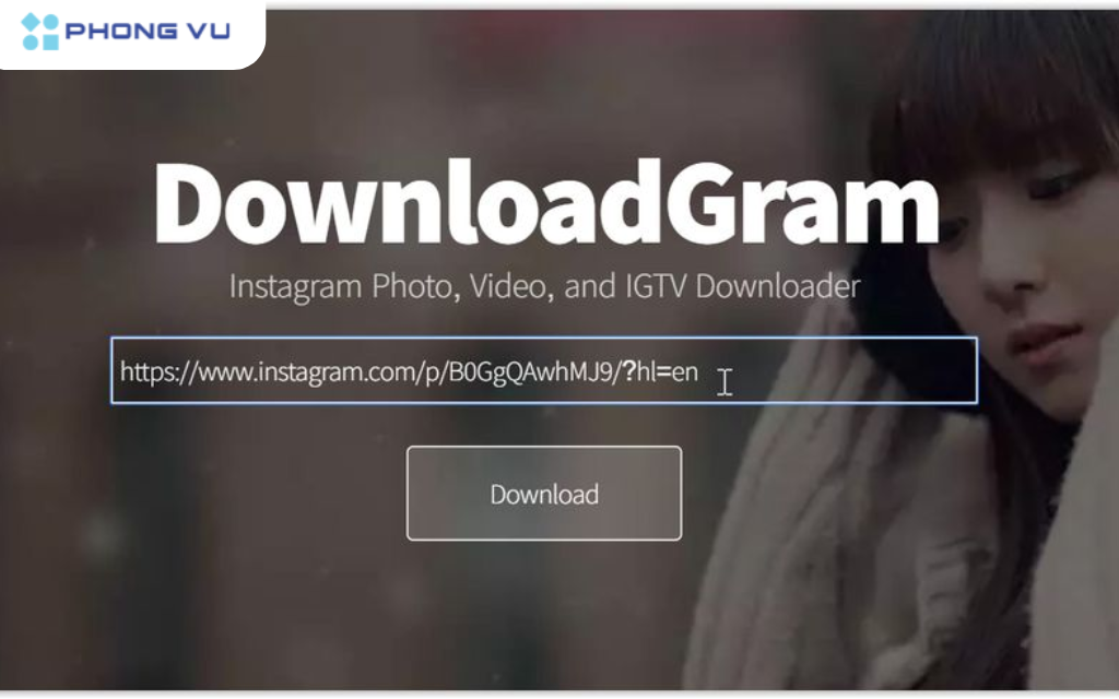 Dễ dàng tải hình từ liên kết với DownloadGram