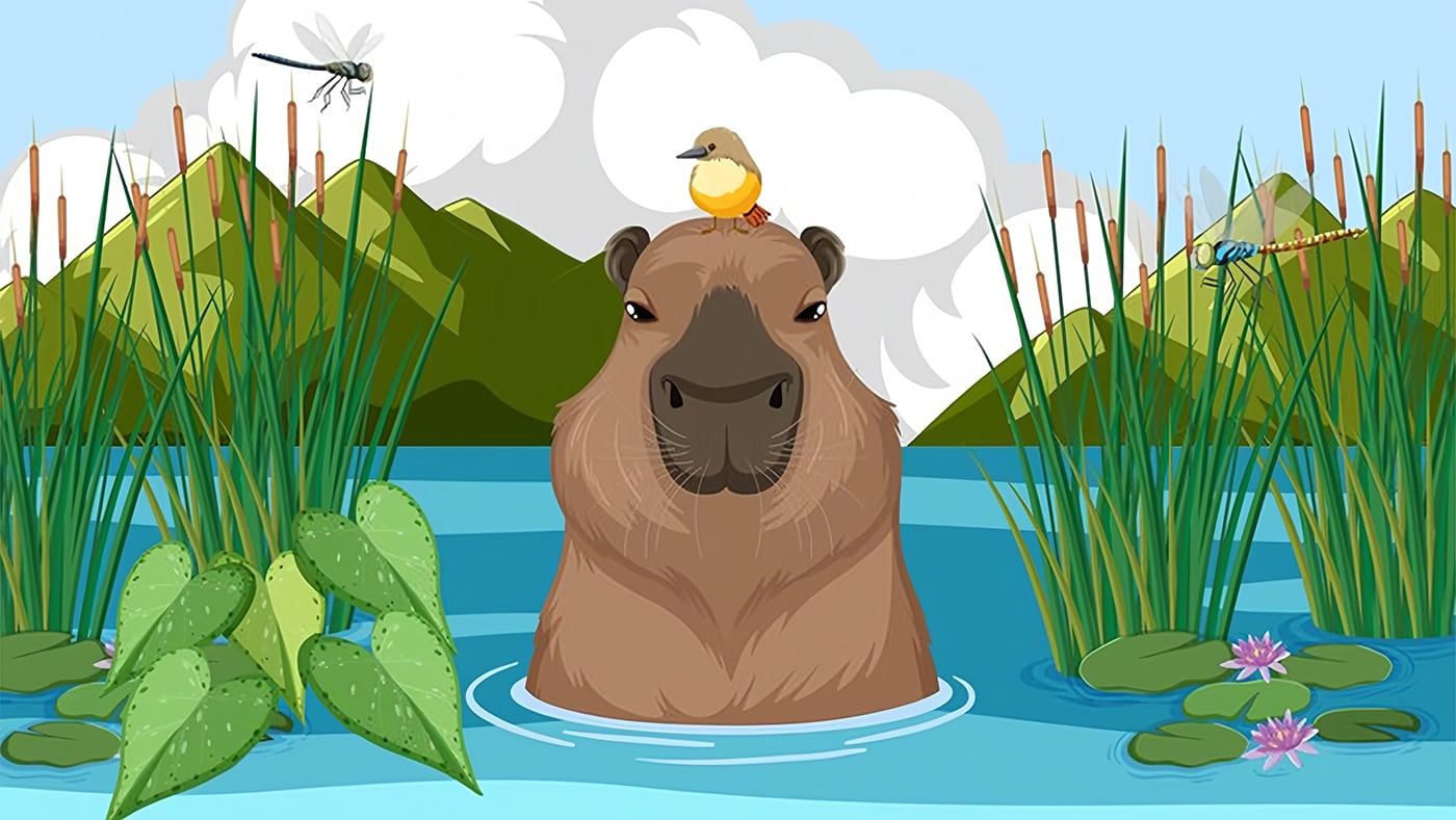 Một chú capybara đang ngâm mình trong nước, một chú chim nhỏ đậu trên đầu, tạo nên một hình ảnh đầy thân thiện và bình yên
