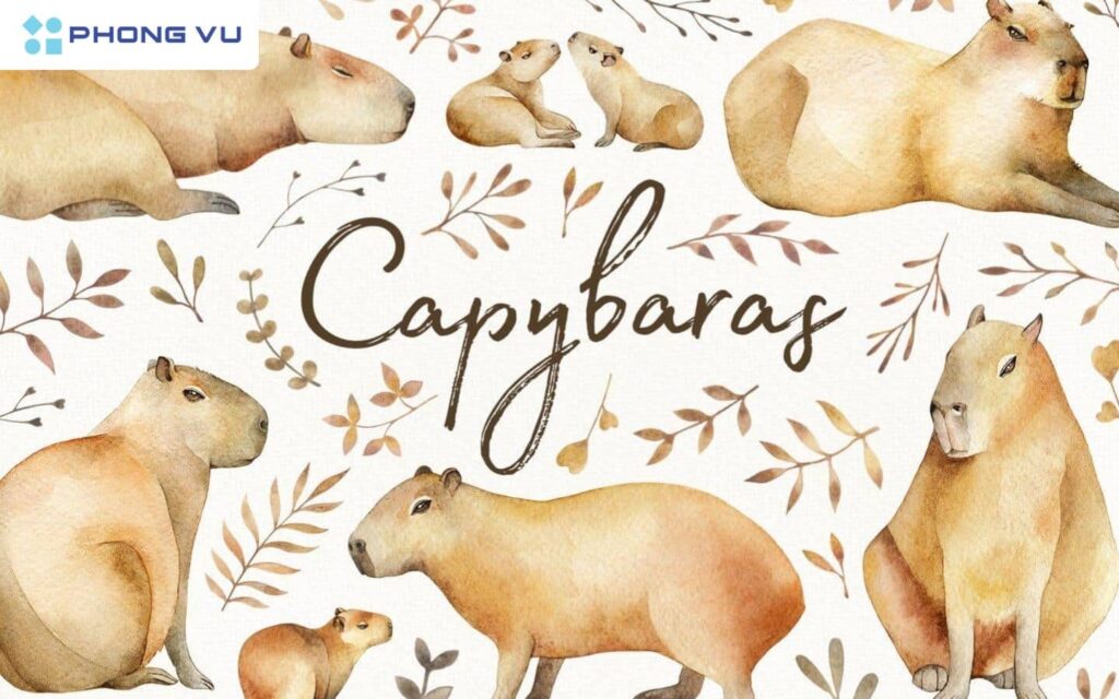 Hình nền Capybara dễ thương và siêu đáng yêu