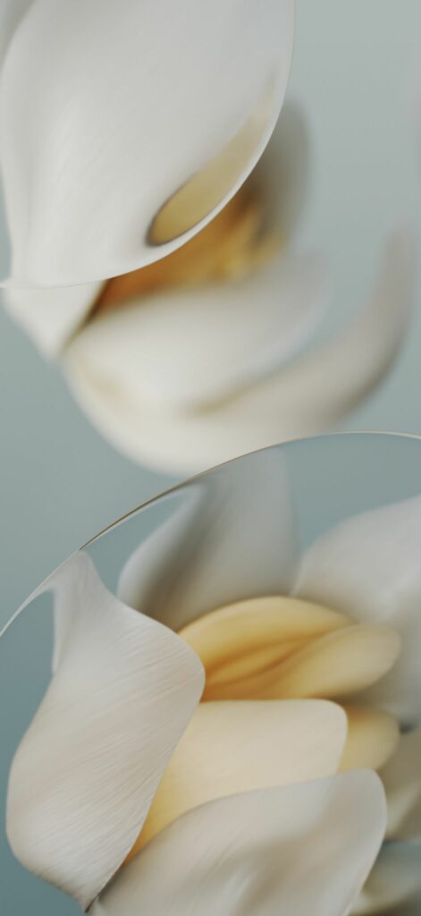 hinh nen iphone 16 45