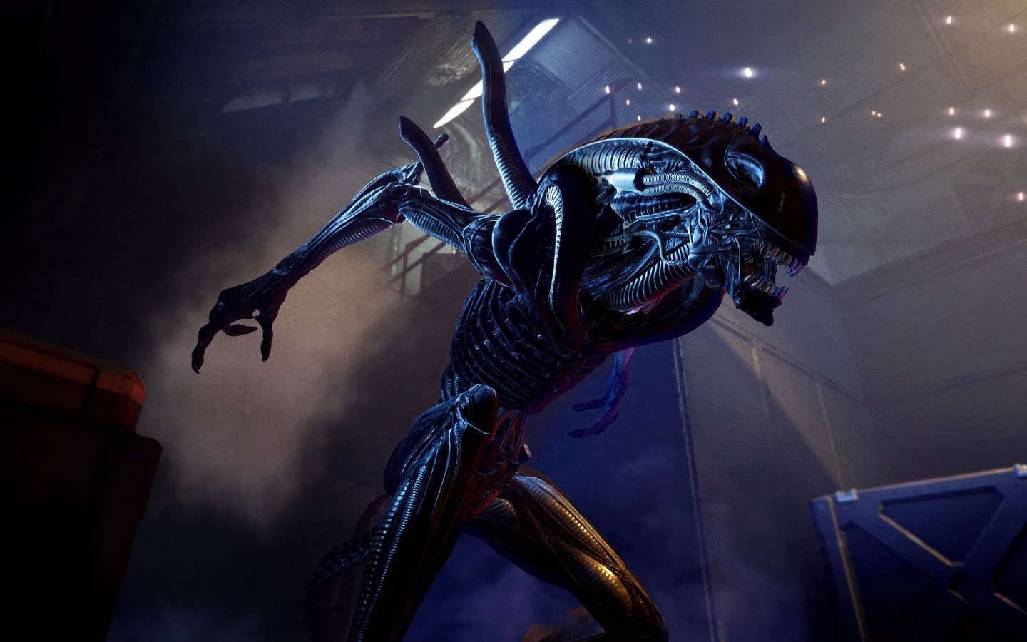 Hình nền quái vật. (Nguồn: Internet)