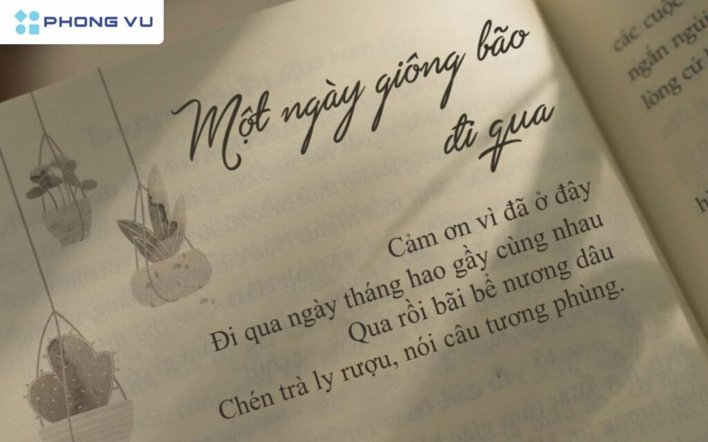 Những câu nói triết lý về cuộc sống giúp chúng ta nhìn nhận cuộc sống một cách sâu sắc hơn