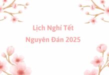 Lịch nghỉ Tết Nguyên Đán Ất Tỵ 2025 cho học sinh, sinh viên, người lao động, cán bộ, công chức chi tiết Lịch nghỉ Tết Nguyên Đán 2025