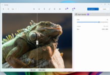 Microsoft tích hợp OCR vào ứng dụng Photos trên Windows 11 và Windows 10