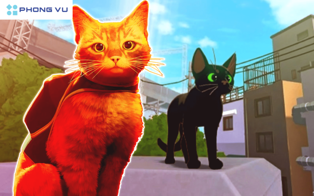 Little Kitty, Big City