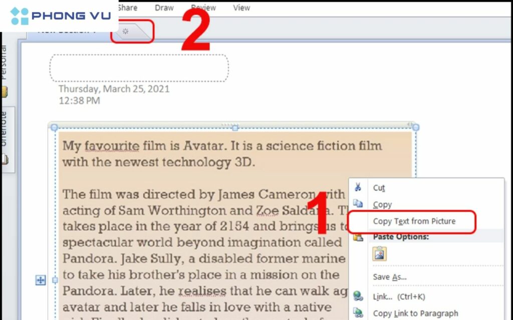 Sao chép văn bản