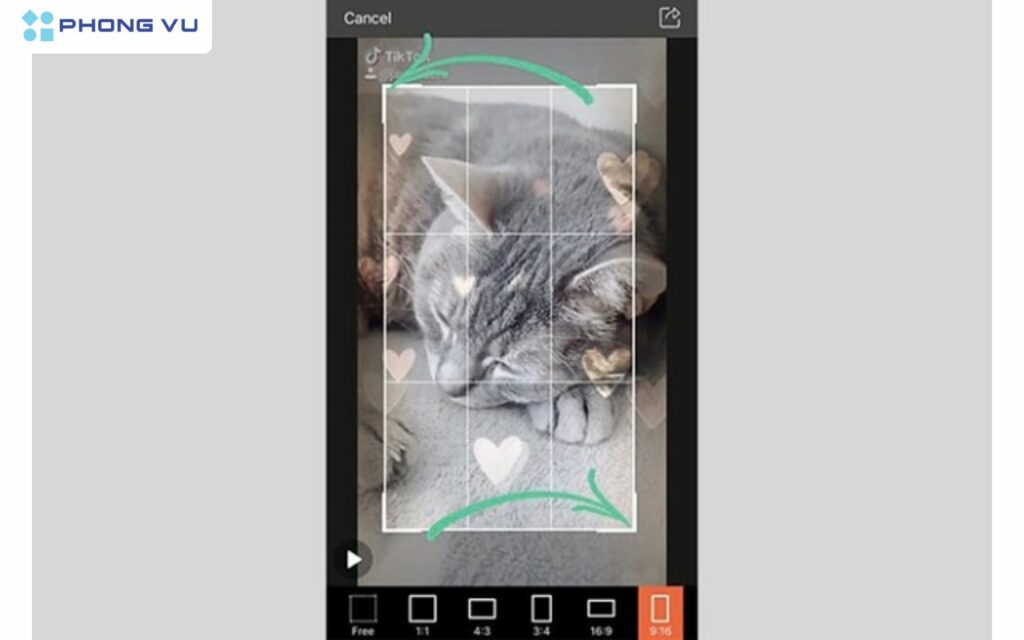 hướng dẫn sử dụng Video Eraser để xóa logo TikTok trên video