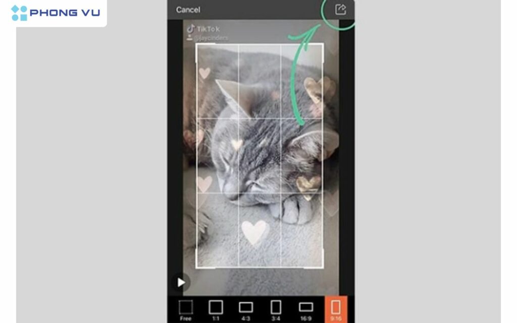 cách Sử dụng Video Eraser để xóa logo TikTok trên video