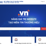 nhung-truong-hop-nao-se-bi-thu-hoi-ten-mien-vn-3