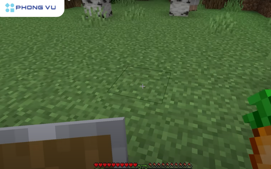 Nếu bạn cầm khiêng và một loại thức ăn như cà rốt, khi nhấn chuột phải, game sẽ tưởng bạn đang cố trồng cây mới