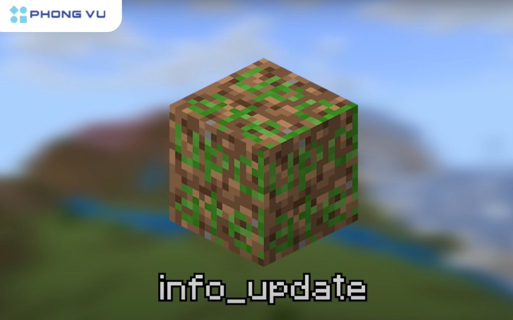 Block này có thể được sử dụng cho những loại khối không tồn tại trong trò chơi