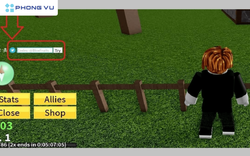 Nhập mã code còn hạn vào ô màu trắng