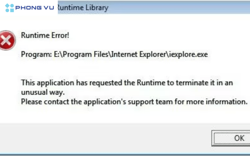 Lý do chính gây nên lỗi Runtime Error