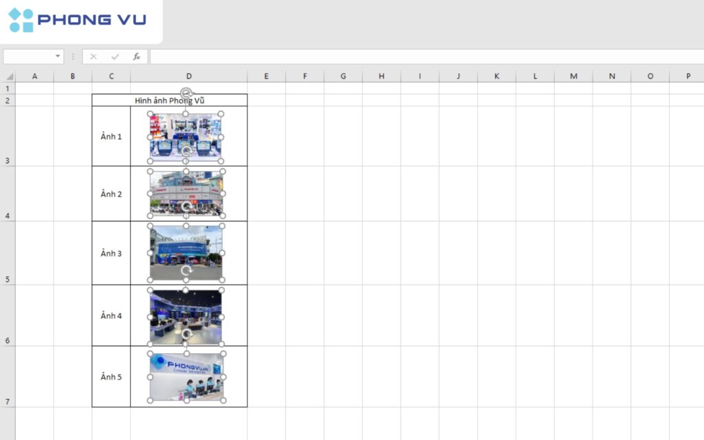 Cách chèn ảnh vào Excel không cần chỉnh kích thước nhanh nhất 9 Kết quả hiển thị như sau.