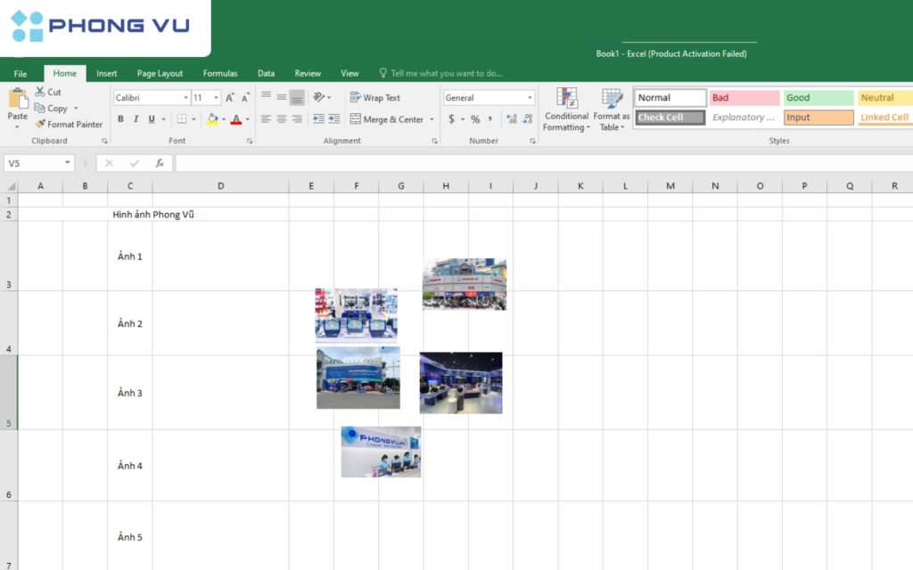 Cách chèn ảnh vào Excel không cần chỉnh kích thước nhanh nhất 6 Kéo kích thước ảnh phù hợp với khung excel.