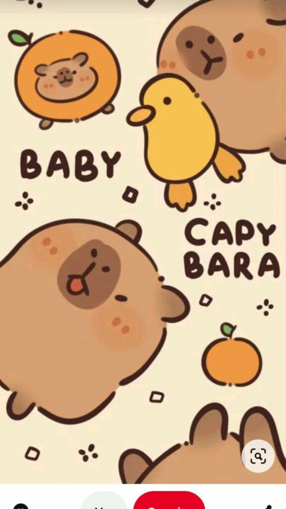Hình nền Capybara baby.