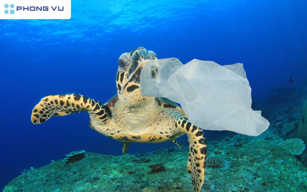 Bài mẫu viết thư UPU lần thứ 54 5.