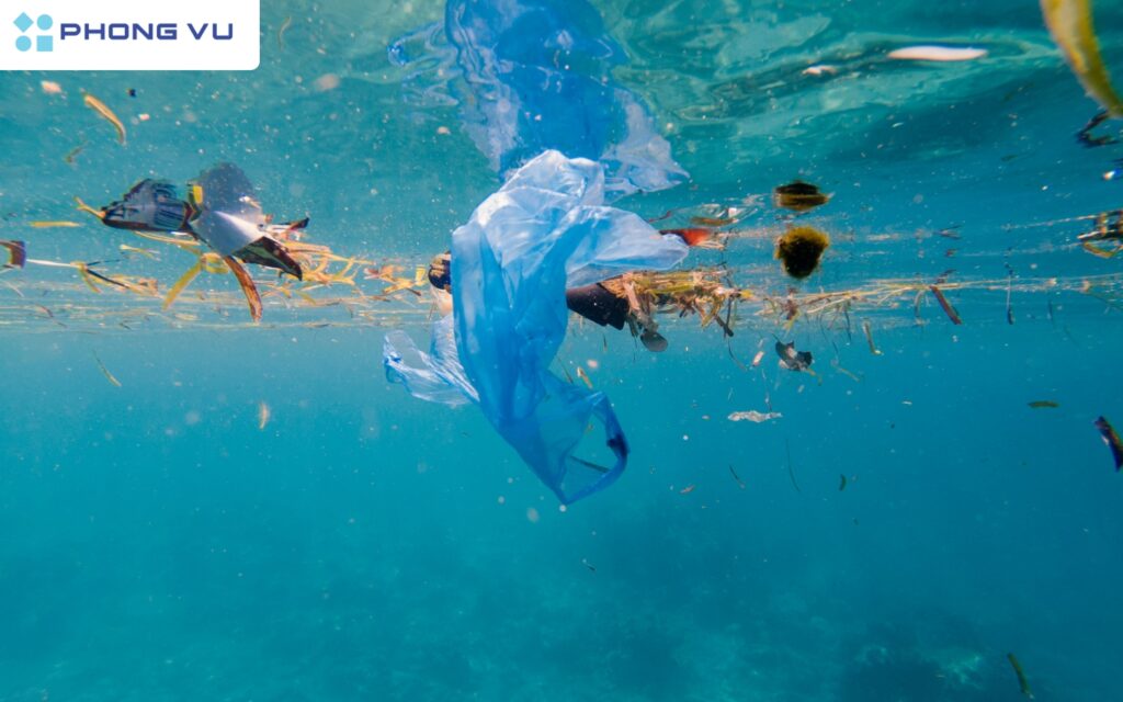 Bài mẫu viết thư UPU lần thứ 54 3.