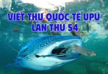 Tham khảo 7 mẫu viết thư UPU lần thứ 54 năm 2025 hay nhất