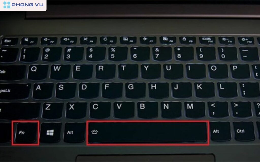 Nhấn phím Fn và dấu cách để bật đèn bàn phím
