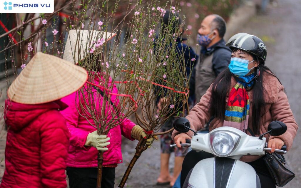 Dự báo thời tiết Tết Nguyên Đán Ất Tỵ 2025 trên cả nước 1 Thời tiết Miền Bắc sẽ có nhiều đợt rét đậm, rét hại vào dịp Tết Nguyên Đán 2025
