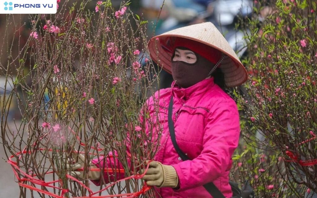 Dự báo thời tiết Tết Nguyên Đán Ất Tỵ 2025 trên cả nước 2 Dự báo thời tiết Tết Nguyên Đán 2025 miền Trung sẽ lạnh hơn các năm trước